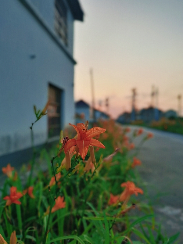 MEITU_20250813_090559275.jpg